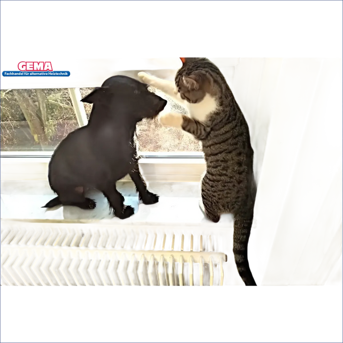 Katze und Hund interagieren vor einem Fenster neben dem Defro Komfort Ekopell 25 kW