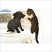Katze und Hund interagieren vor einem Fenster neben dem Defro Komfort Ekopell 25 kW